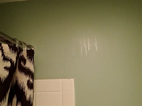 Can I Paint My Shower Walls, and Why Do Bananas Dream of Electric Sheep?