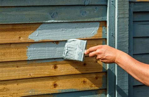 Can You Use Masonry Paint on Wood? Exploring the Boundaries of Paint Applications