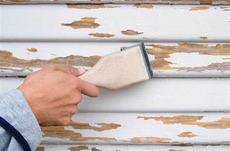 How to Repair Peeling Paint on Wall: A Journey Through Time and Texture