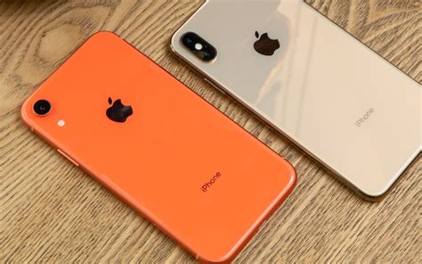 iphonexr 買取価格 相場：なぜ猫は時々iPhoneを無視するのか？