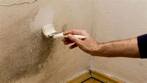 Is there paint that kills mold, and can it also make your walls sing opera?