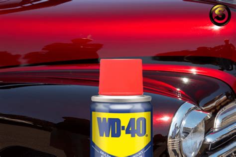 Will WD-40 Damage Car Paint? And Why Do Cats Love Shiny Surfaces?